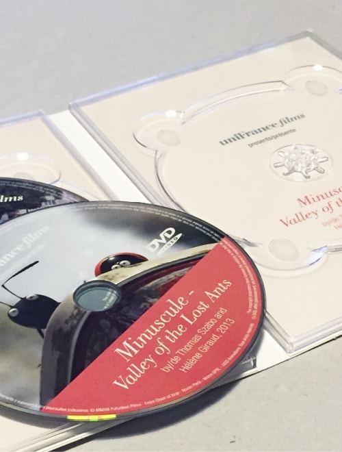 UNIFRANCE FILMS - DVD Saint Laurent / Minuscule - Valley of the Lost Ants / Les Combattants & A Day Out in Paris 2014