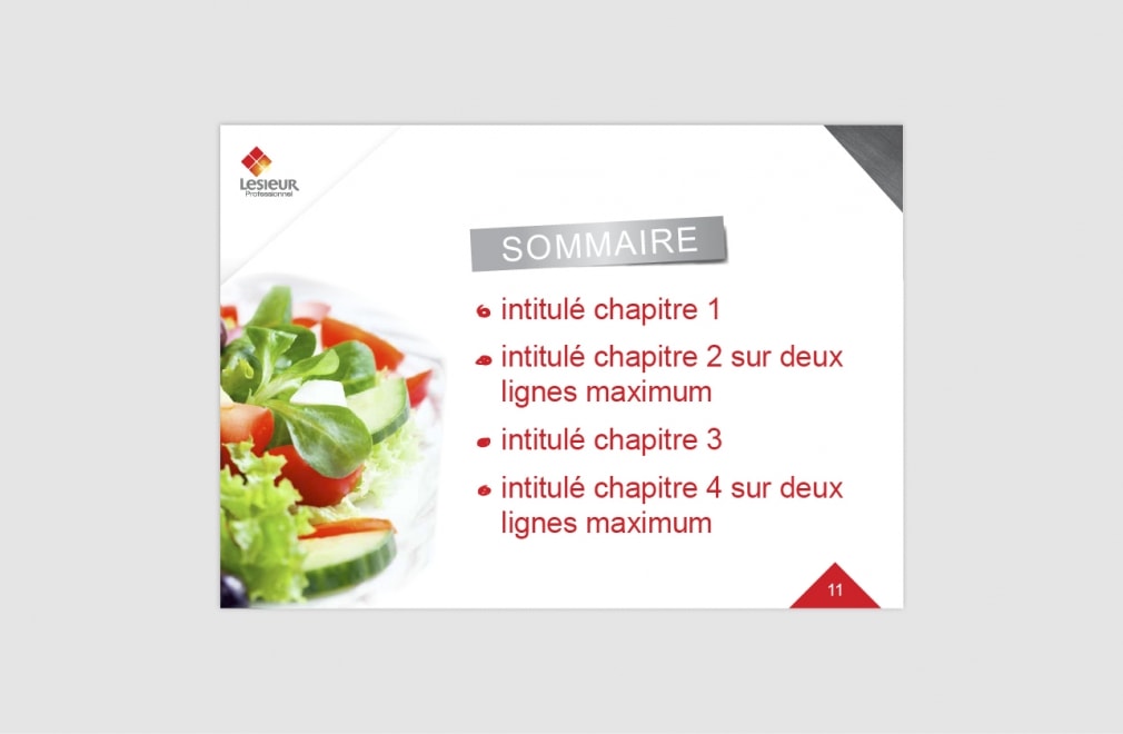 LESIEUR PROFESSIONNEL - Modèle présentation Power Point : 2