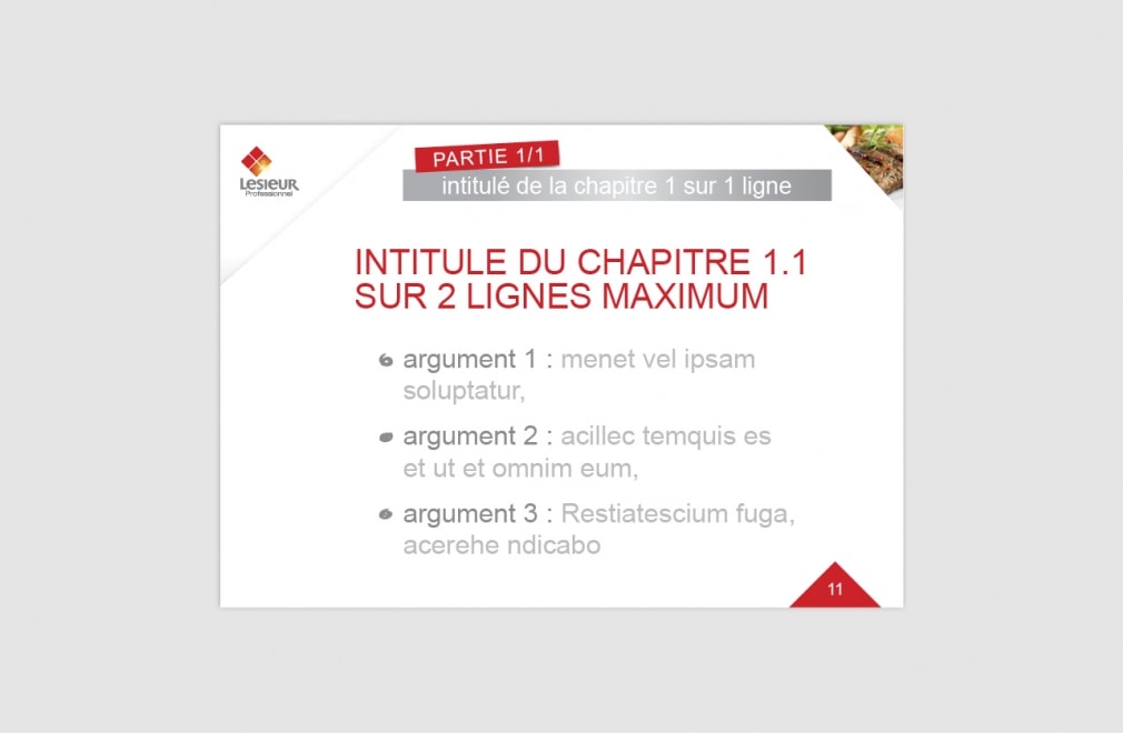 LESIEUR PROFESSIONNEL - Modèle présentation Power Point : 4